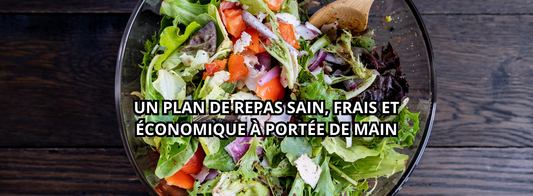 Système hydroponique : un plan de repas sain, frais et économique à portée de main