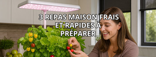 Système hydroponique : 3 repas maison rapides et frais à préparer avec vos récoltes Garden Paradisiac