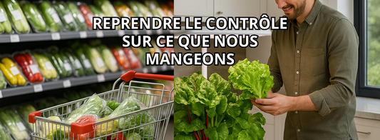 Système hydroponique : reprenez le contrôle sur votre alimentation avec Garden Paradisiac