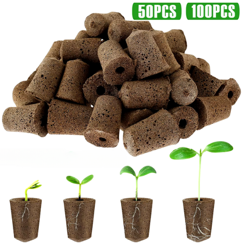 Lot de 50/100 éponges de démarrage de semences Kit d'éponges hydroponiques professionnelles écologiques