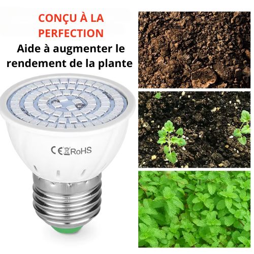 Phytolamp Lampe de croissance LED à spectre complet E14 Lampe pour plantes Fitolamp pour semis d'intérieur Boîte de culture de fleurs Fitolampy