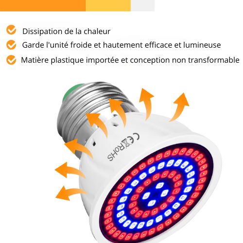 Phytolamp Lampe de croissance LED à spectre complet E27 E14 Lampe pour plantes Fitolamp pour semis d'intérieur Boîte de culture de fleurs Fitolampy