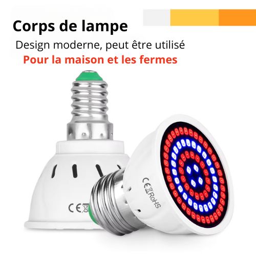 Phytolamp Lampe de croissance LED à spectre complet E27 E14 Lampe pour plantes Fitolamp pour semis d'intérieur Boîte de culture de fleurs Fitolampy