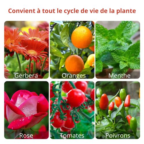 Phytolamp Lampe de croissance LED à spectre complet E27 E14 Lampe pour plantes Fitolamp pour semis d'intérieur Boîte de culture de fleurs Fitolampy