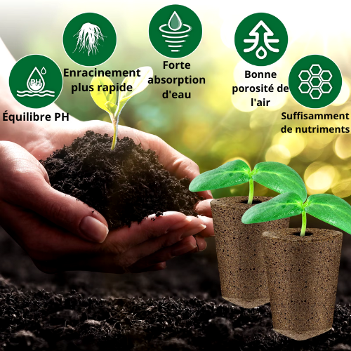 Lot de 50/100 éponges de démarrage de semences Kit d'éponges hydroponiques professionnelles écologiques