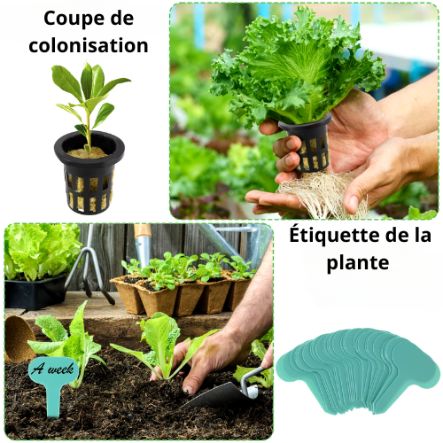 Lot de 72 cubes de laine de roche pour culture hydroponique - 1,5 pouce