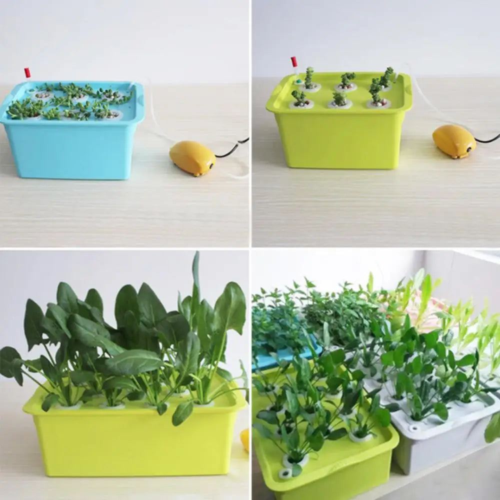 HydroBox 6 – Système Hydroponique Vert à 6 Trous avec Pompe à Air, Culture Facile en Intérieur