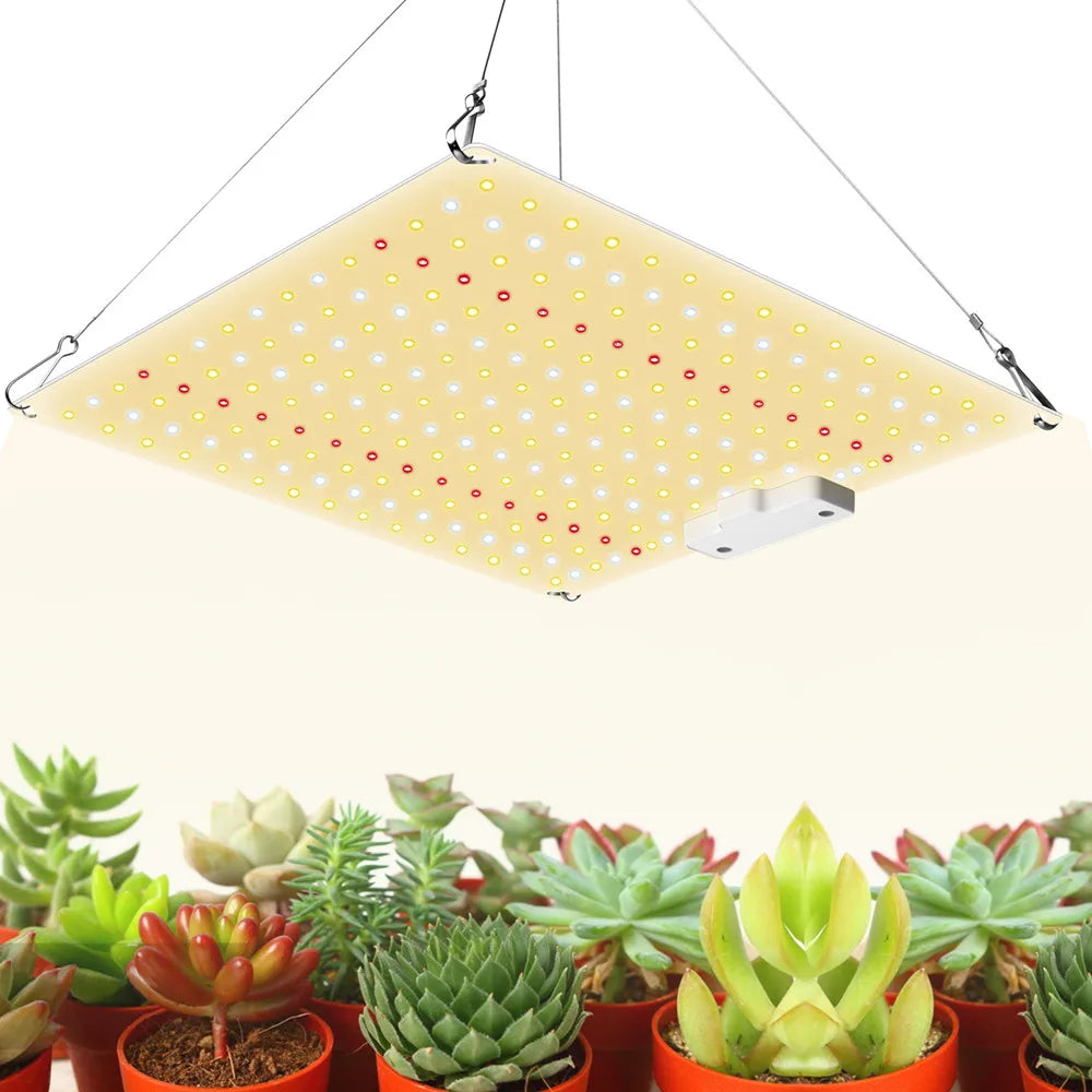 Kit de culture LED 90x60x135 cm Double couche avec filtre hydroponique