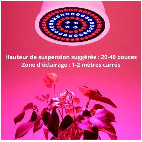 Phytolamp Lampe de croissance LED à spectre complet E14 Lampe pour plantes Fitolamp pour semis d'intérieur Boîte de culture de fleurs Fitolampy