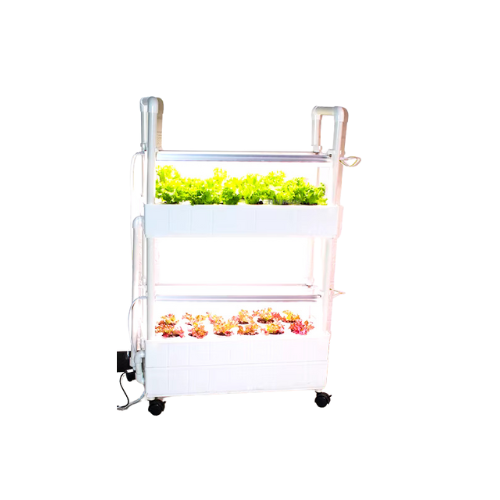 Système de Culture Hydroponique Verticale Intelligent – Jardinière d'Intérieur Sans Sol pour Légumes et Fruits
