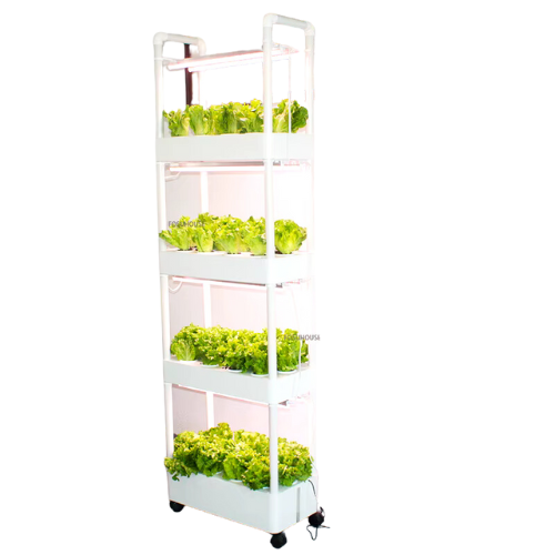 Système de Culture Hydroponique Verticale Intelligent – Jardinière d'Intérieur Sans Sol pour Légumes et Fruits
