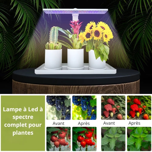 Lampe de Culture LED de Bureau – Éclairage Intelligent pour Vos Plantes d’Intérieur