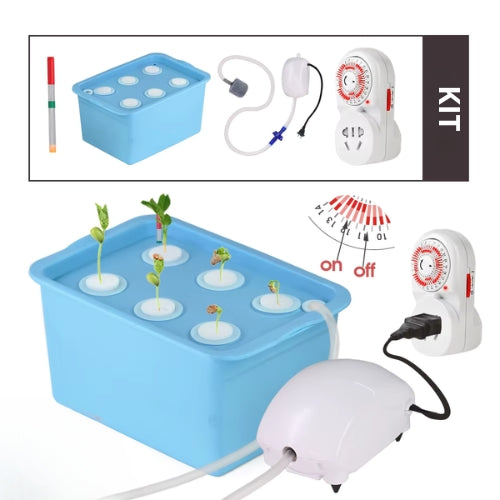 6-Hole 5L Growth Box Re-circulated Hydroponics Growing System Blue Nursery Pot Smart Automatic Timing Soilless Cultivation Herbs
