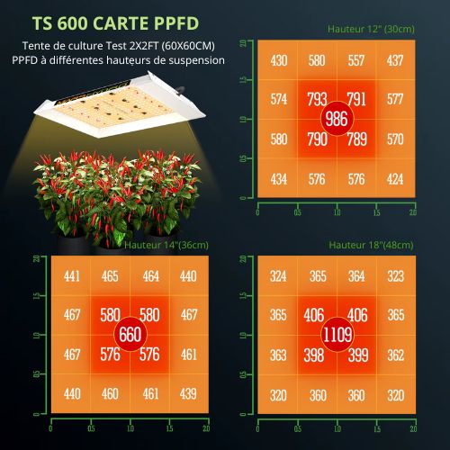 Kit de Culture Intérieur Mars Hydro TS 1000 LED 60x60x140 cm pour Hydroponie