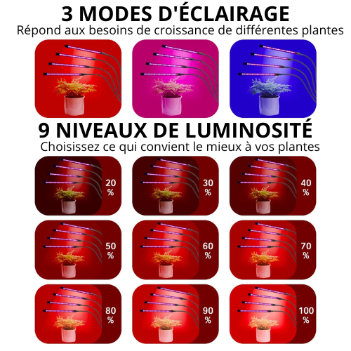 Lampe de Croissance LED à Double tête USB – Pour Plantes, Semis et Systèmes Hydroponiques
