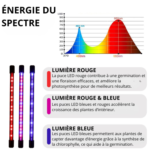 Lampe de Croissance LED à Double tête USB – Pour Plantes, Semis et Systèmes Hydroponiques