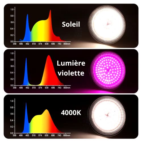 Lampe de croissance E27 18W LED à spectre complet Phytolamp