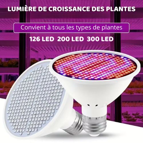 Phytolamp Lampe de croissance LED à spectre complet E27 E14 Lampe pour plantes Fitolamp pour semis d'intérieur Boîte de culture de fleurs Fitolampy