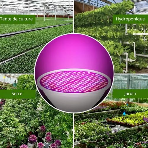 Phytolamp Lampe de croissance LED à spectre complet E14 Lampe pour plantes Fitolamp pour semis d'intérieur Boîte de culture de fleurs Fitolampy