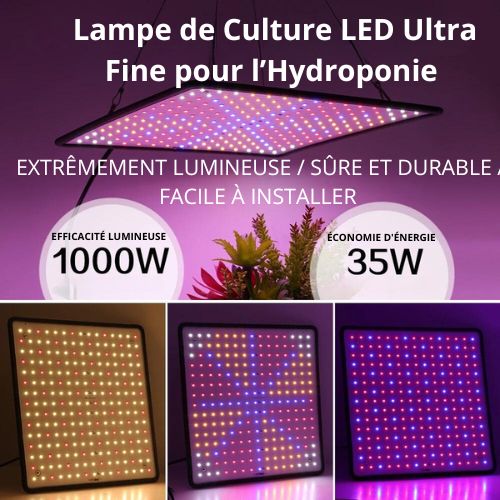 Lampe de Culture LED Ultra Fine pour Hydroponie : Eclairage Performant et Économique pour vos Cultures