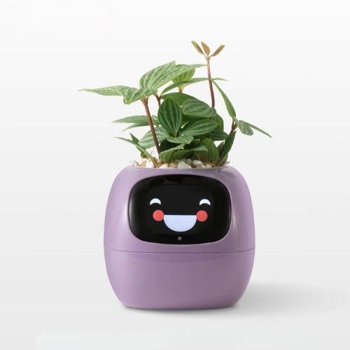 Pot de Fleurs Intelligent Ivy : Expressions Ludiques et Soin Facilité grâce à l’IA