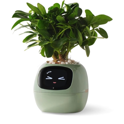 Pot de Fleurs Intelligent Ivy : Expressions Ludiques et Soin Facilité grâce à l’IA