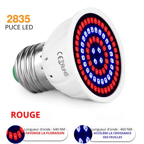 Phytolamp Lampe de croissance LED à spectre complet E27 E14 Lampe pour plantes Fitolamp pour semis d'intérieur Boîte de culture de fleurs Fitolampy