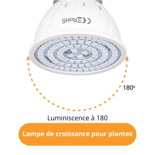 Phytolamp Lampe de croissance LED à spectre complet E27 E14 Lampe pour plantes Fitolamp pour semis d'intérieur Boîte de culture de fleurs Fitolampy