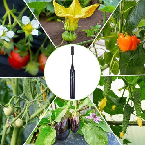 Pollinisateur Électrique Professionnel - Boostez la Croissance de Vos Plantes