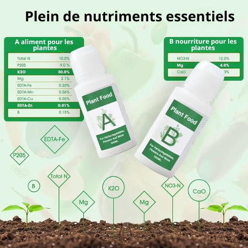 Kit d'Engrais AB Solide Hydroponique pour Culture d'Intérieur