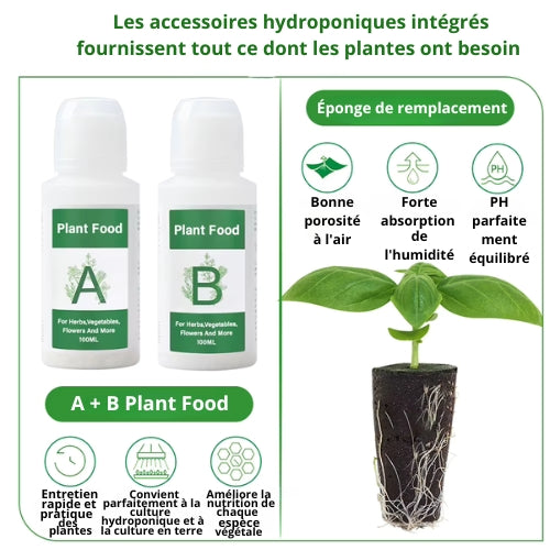 Kit d'Engrais AB Solide Hydroponique pour Culture d'Intérieur