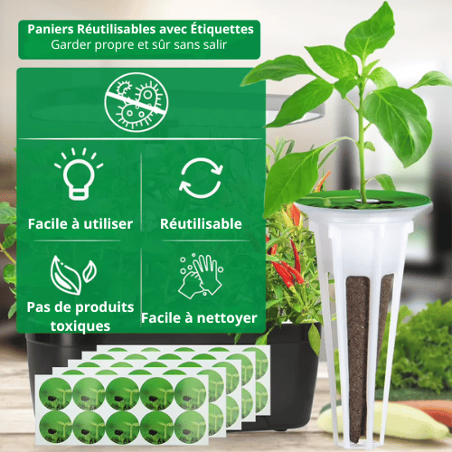 Kit d'engrais AB solide - Culture hydroponique d'intérieur - Solution nutritive pour plantes - Favorise une croissance saine - Sans pesticides ni herbicides - Facile à utiliser