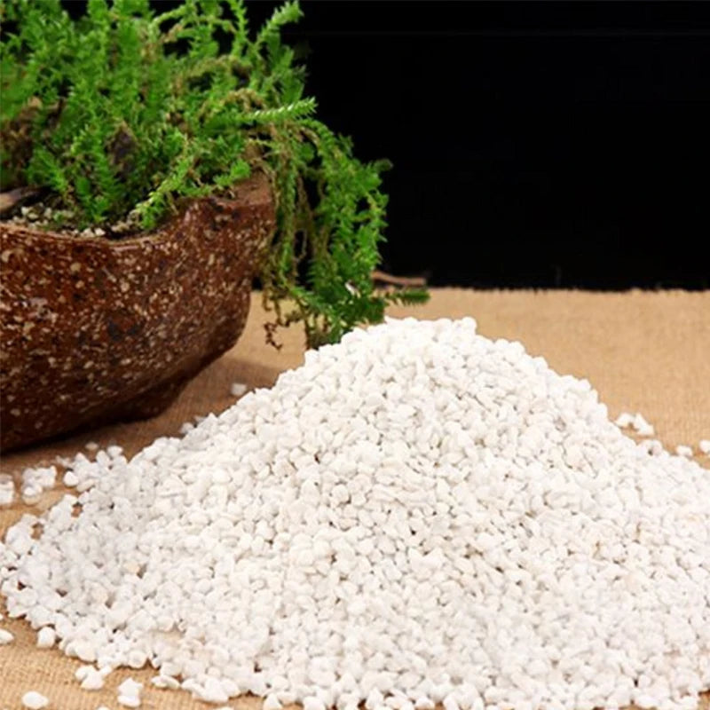 Perlite vermiculite 120 g Support de plantation horticole