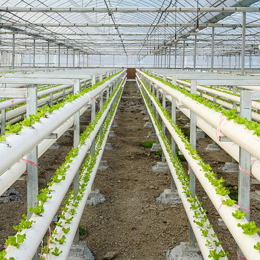 Lot de 15 paniers hydroponiques avec éponge – Culture hors sol efficace