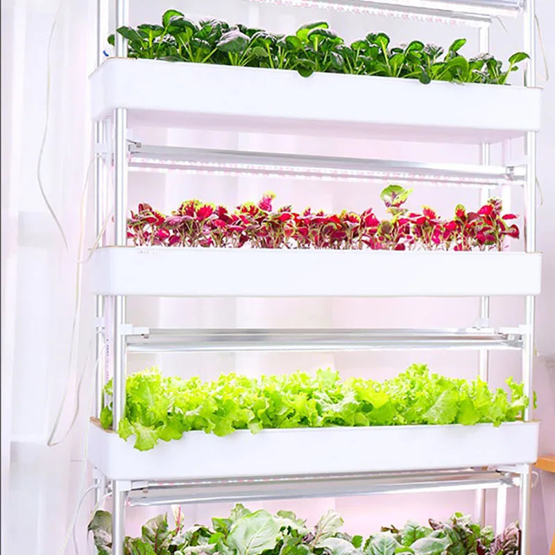 Système de culture hydroponique vertical intelligent pour culture intérieure, jardin, jardinière domestique, tour de culture de plantes