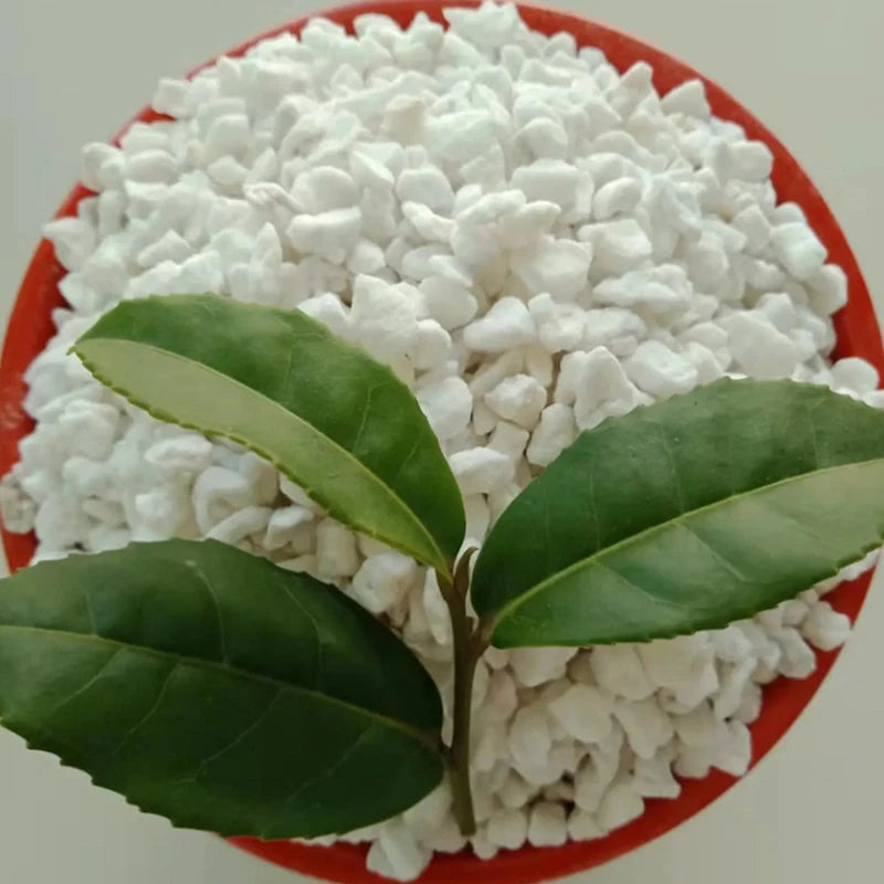 Perlite vermiculite 120 g Support de plantation horticole