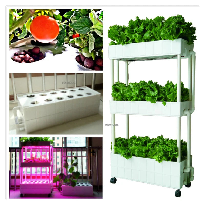 Système de Culture Hydroponique Verticale Intelligent – Jardinière d'Intérieur Sans Sol pour Légumes et Fruits