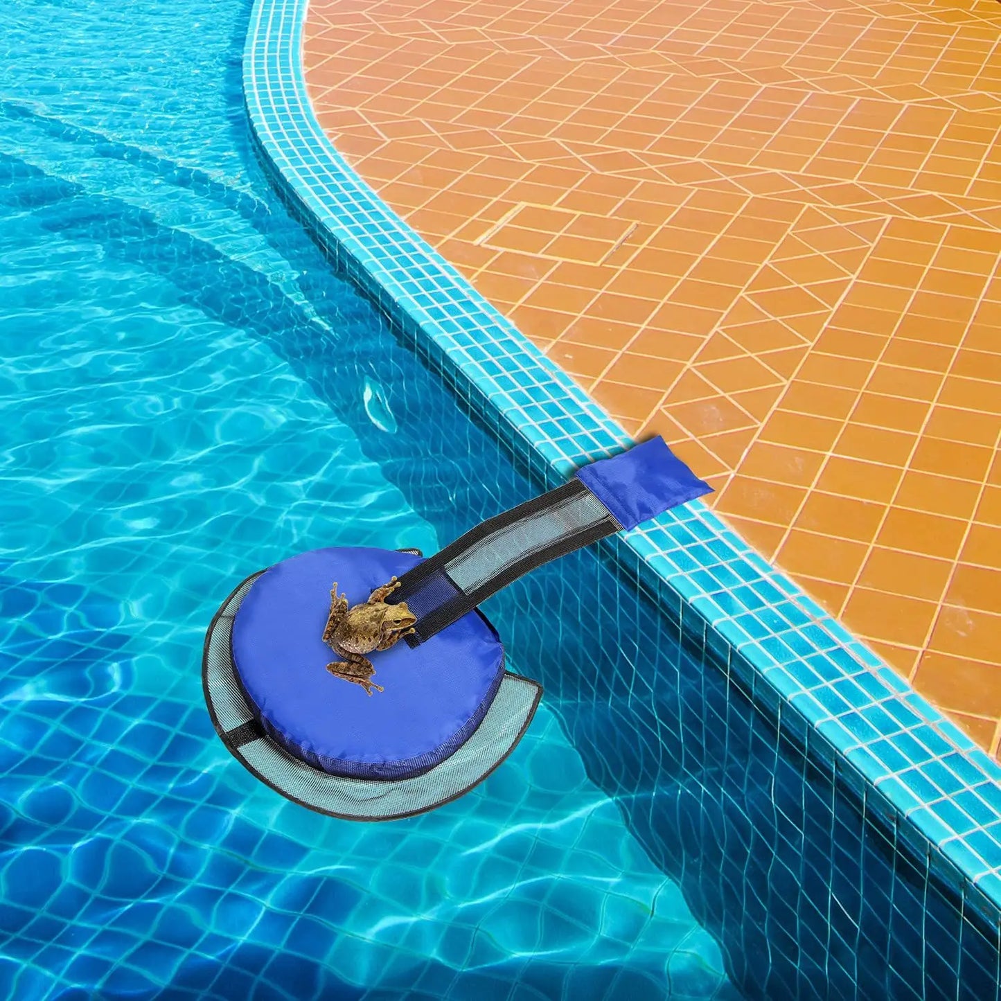 Filet d'évacuation pour petits animaux de piscine