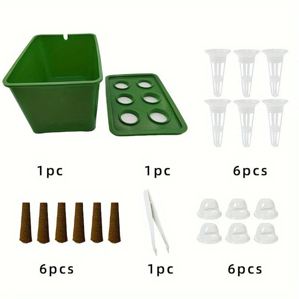 Mini Système Hydroponique