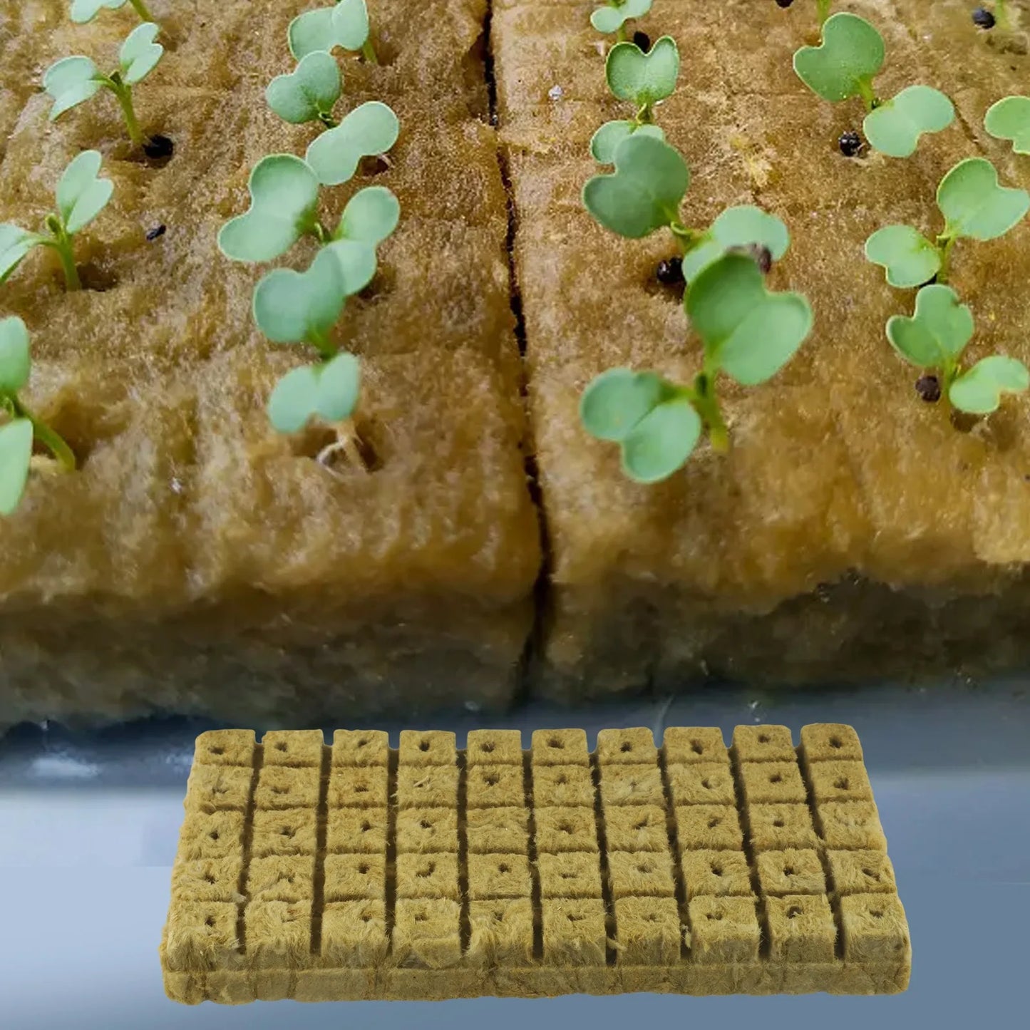 50pc Hydroponic- Sponge Block Cubes Water Soilless Cultivation Germination Pot Vegetable Culture Seedling= Planting Nursery Tool