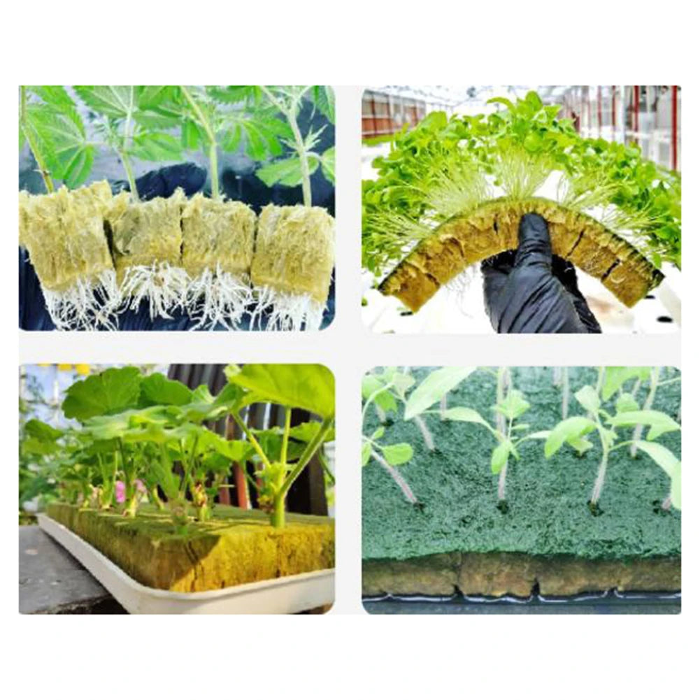 50pc Hydroponic- Sponge Block Cubes Water Soilless Cultivation Germination Pot Vegetable Culture Seedling= Planting Nursery Tool
