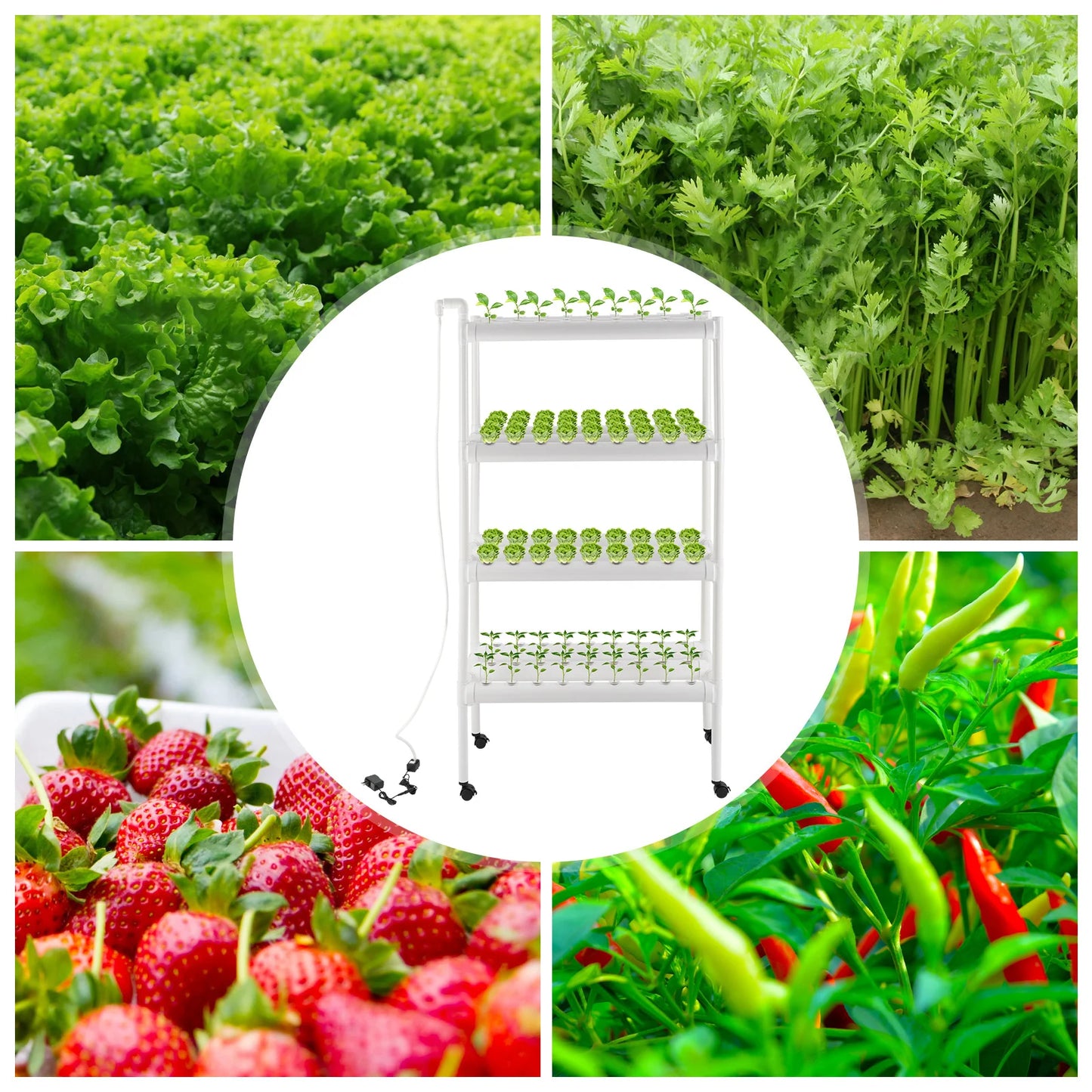 Kit de Culture Hydroponique à 4 Niveaux – Équipement de Plantation avec 108 Emplacements