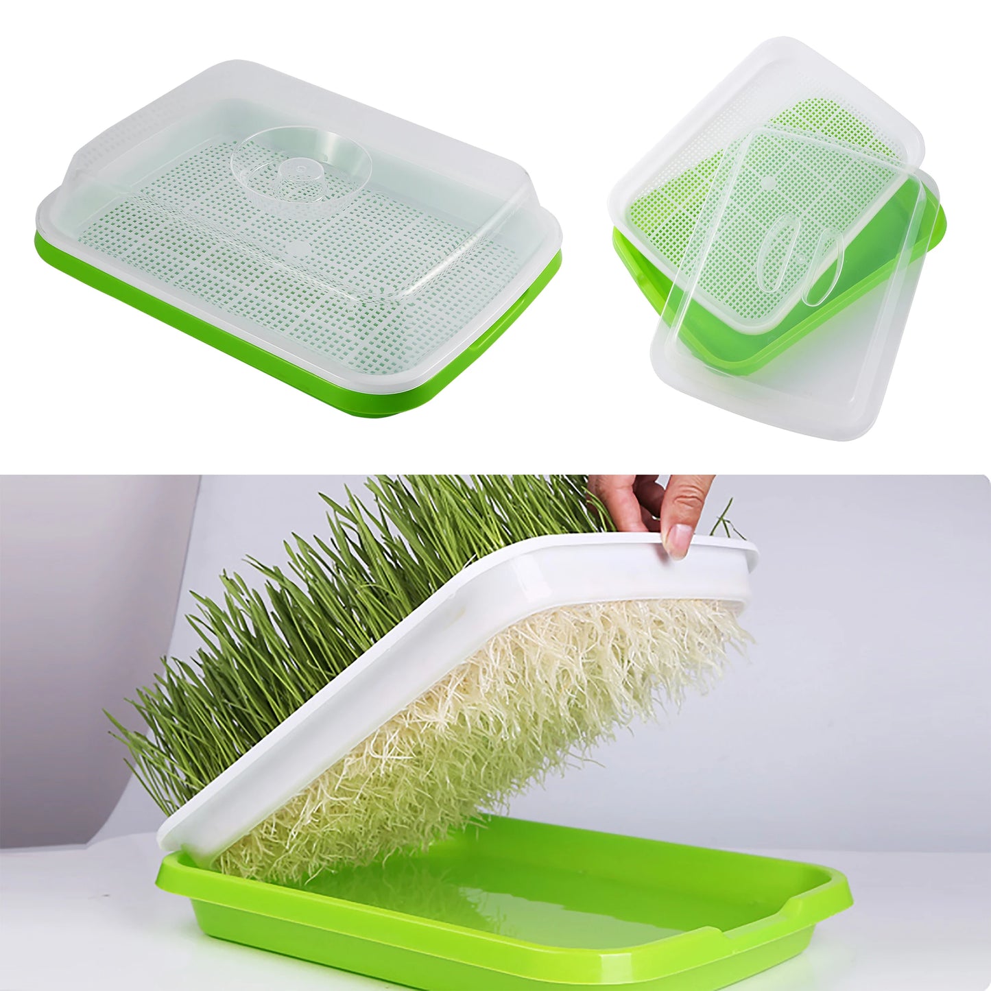 Plateau de Germination – L’outil idéal pour vos semis hydroponiques (Copie)