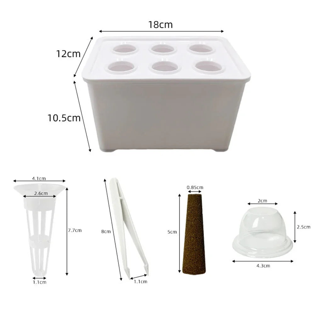 Mini Système Hydroponique