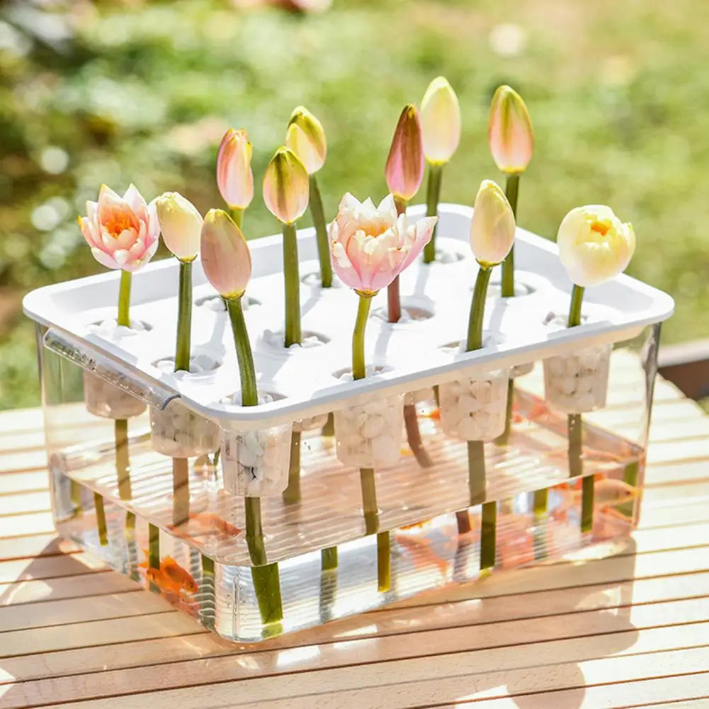 Jardinière Hydroponique Rectangulaire Transparente – 12 Trous avec Couvercle et Poignée, Facile à Nettoyer