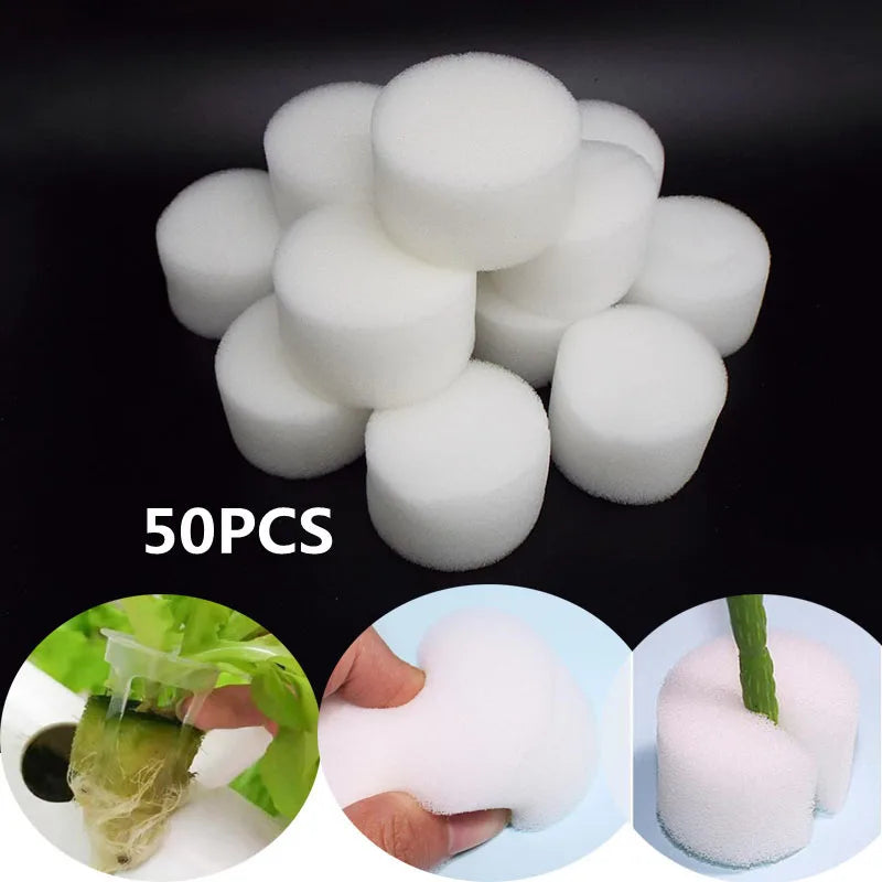 Éponge de culture hydroponique – Germination et croissance optimales