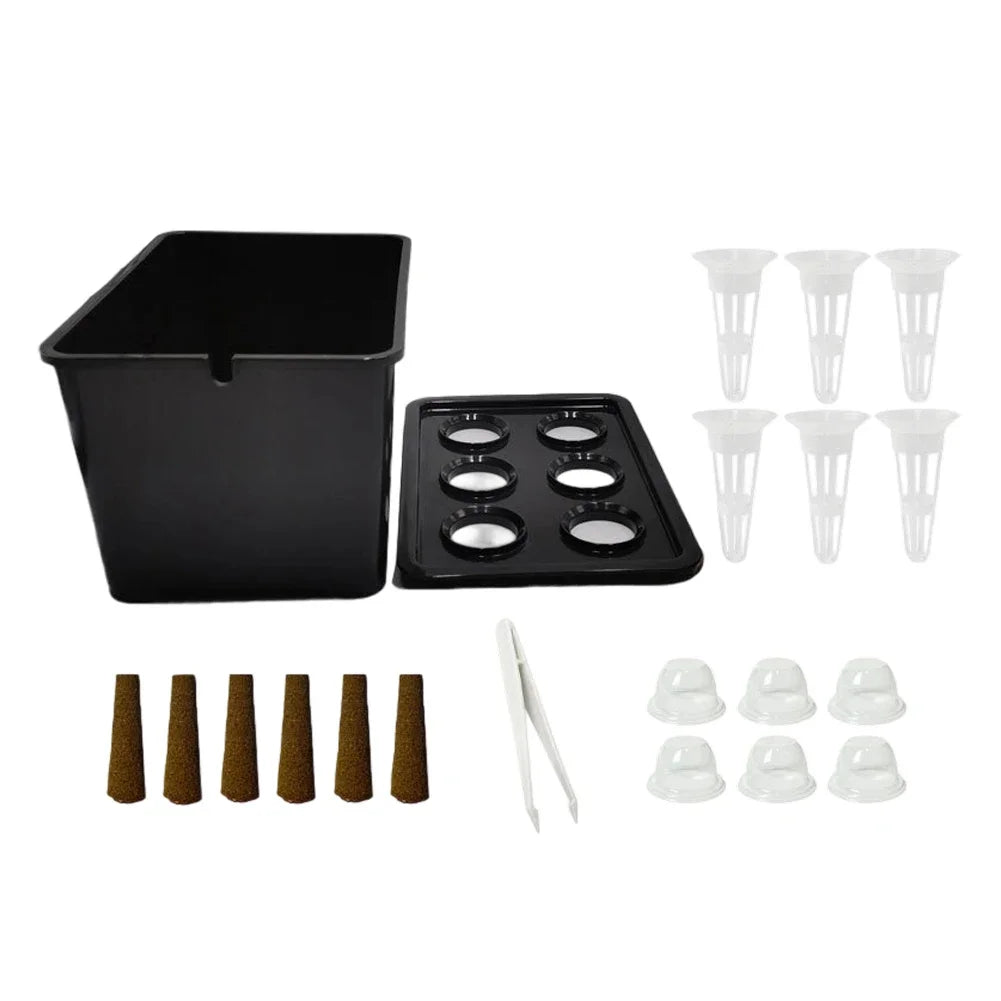 Mini Système Hydroponique