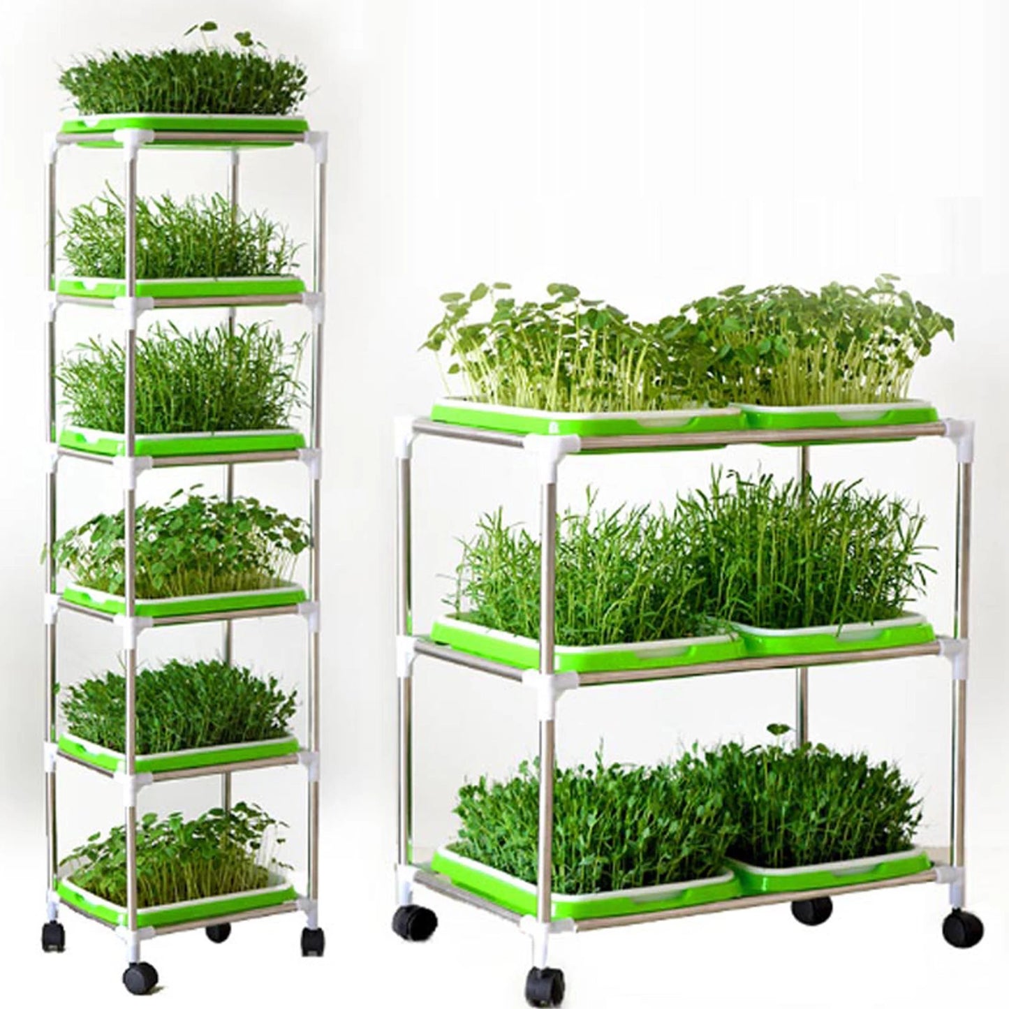 Plateau de Germination – L’outil idéal pour vos semis hydroponiques (Copie)