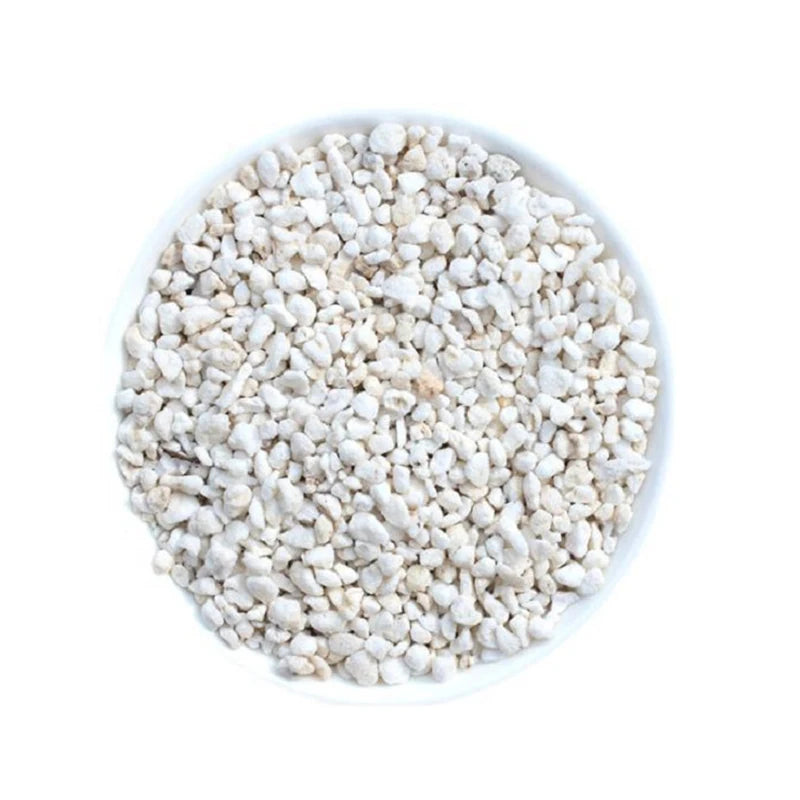 Perlite vermiculite 120 g Support de plantation horticole