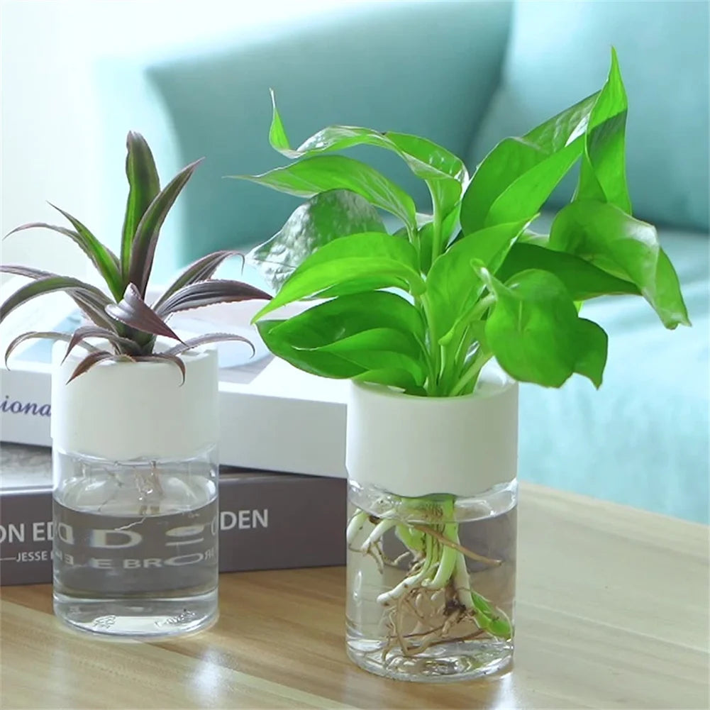 Mini Pot de Fleurs Hydroponique – Vase Décoratif Transparent pour Plantes Vertes